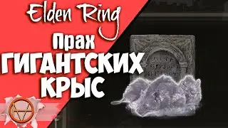 Elden Ring : Где Найти Прах Гигантских Крыс  ?! | Гайд 🔥