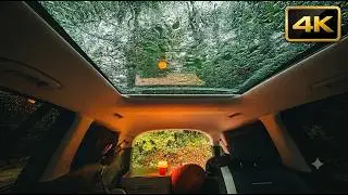 Heavy Rain Car Camping in the Forest with IONIQ 9 | Fast Setup & Rain ASMR (4K)