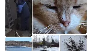 Влог Дачный У всех ШОК Чуть не потеряли Тома. 🙀На даче все течет.🐦