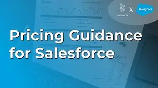 Pricing Guidance for Salesforce #cpq