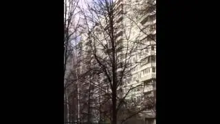 Эрик Давидыч.Periscope.Давидыч: