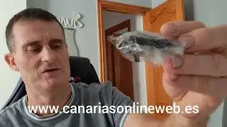cortapelo Trimmer  precio especial