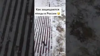 обэмэ