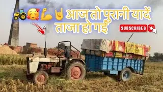 🌾🚜Old is gold // Escort 335 On Loaded Trolley