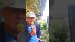 авторская песня для души