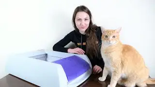 PetSafe ScoopFree Automatic Litter Box Review (We Tested it For 2 Months)