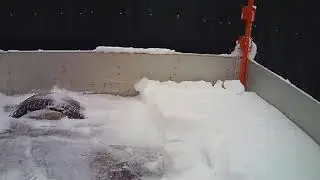 Самодельный прицеп - каркас и тент