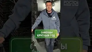 Это невероятно,но наши саженцы можно сажать все лето🪴 