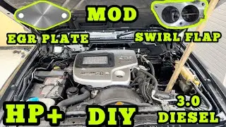 Nissan 3.0 Patrol Terrano How To BLOCK EGR & Swirl Flap MOD DIY Step By Step HP+