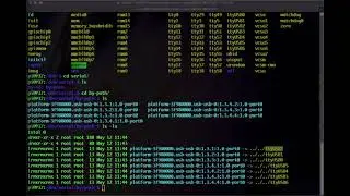 Raspberry Pi console server w/ multi-screen window script
