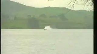 Ladybug World GP Hydro speed record