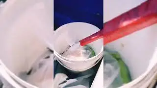 Ездили в лес за дубовыми вениками едем обратно