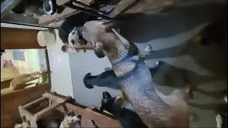 У каждого свое местечко