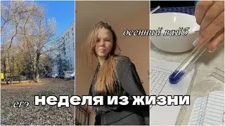 не самая приятная неделя из жизни одинадцатиклассницы 🎓