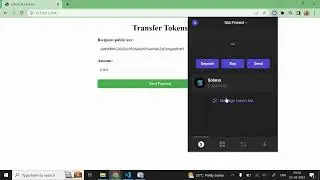 Build Your Own SOL Token Transfer Interface with NodeJS and Web3.js!