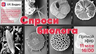 Спроси биолога. Микропалеонтология
