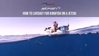 How to use Livebait to catch Kingfish on a Jetski