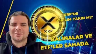 XRP is Quietly Gathering Strength! South Korea, ETFs, and Whales: XRP Analysis