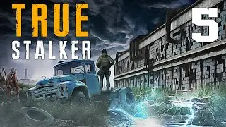 TRUE S.T.A.L.K.E.R. #5 ЖУТКАЯ ЗАСТАВА