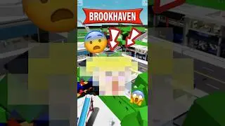 BROOKHAVEN🏡 AMA YENİ UÇAN TAKTİK 🚗 