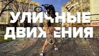 ХОМЯК ВЗОРВАЛ БЕЛКУ/ КТО ТАКОЙ МИГЕЛЬ?