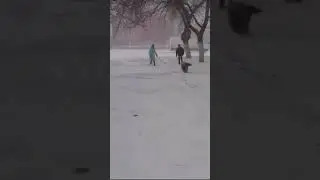 Even though she is homeless, she knows most of the commands 
