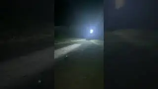 8 августа 2024 г.