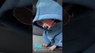 Афродита.  Богиня любви и красоты!