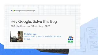 Elisha Lye: Hey Google, solve this bug