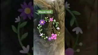Про Иван-чай.