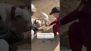 Тэффи и Тэй попали в разное время в приют, но сейчас они вместе получают кайф от жизни❤️ 