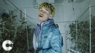 BBG Baby Joe 