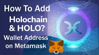 How to Add Holo (HOT) Token Wallet Address on Metamask | HoloChain