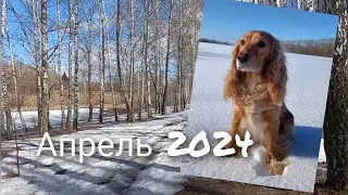 Апрель 2024 (03. 04. 24)