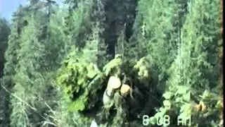 Logging Olympic Peninsula 2