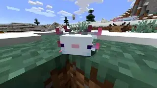 All Axolotl Colors in NEW Minecraft Caves and Cliffs update