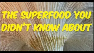 The Superfood You Didn’t Know About