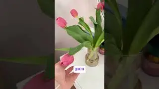 Меня очень волнует один вопрос