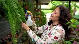 DIY Gardening Kits | Kitsters