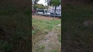Автобус номер 556 маршрут 164 и автобус номер 509 служебный