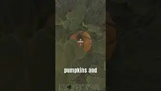 RUST TIP that you didn't know!