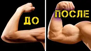 Лучшие упражнения для бицепса и трицепса