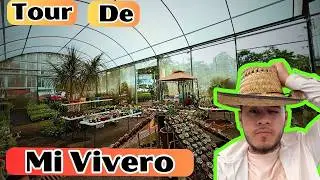 Tour Por Mi Vivero En Vivero El Olmo || Huerto Citadino