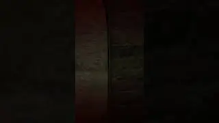 Outlast No death run ended cause of this 🤕 