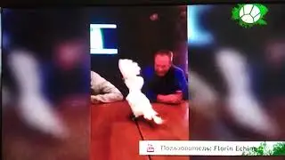 Музыкальная пауза
