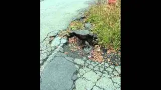 Pottsville: Our Broken Roads