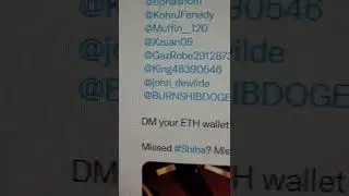 Shibadoge - Winners Announced