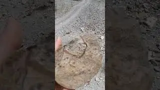 Вот такой интересный камень.