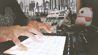 Horn of Plenty - live