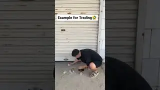Real world Trading